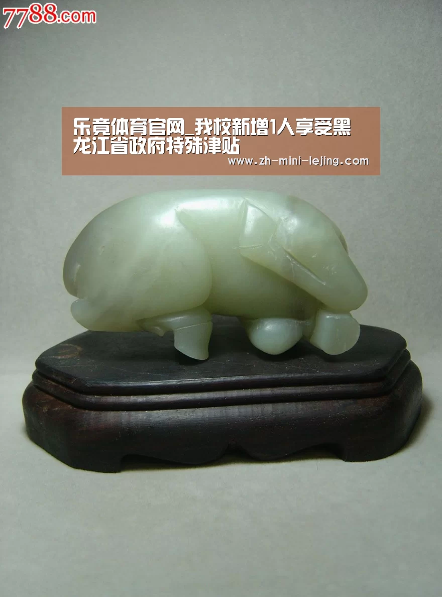 乐竟APP最新版本下载